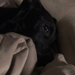 Meet your Posher, Jared